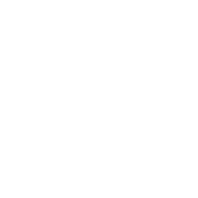 The UCLA-NUS Executive MBA